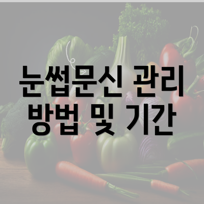 눈썹문신 관리 방법 및 기간