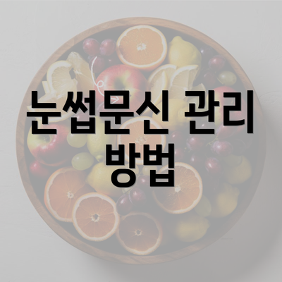 눈썹문신 관리 방법