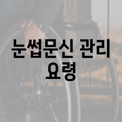 눈썹문신 관리 요령