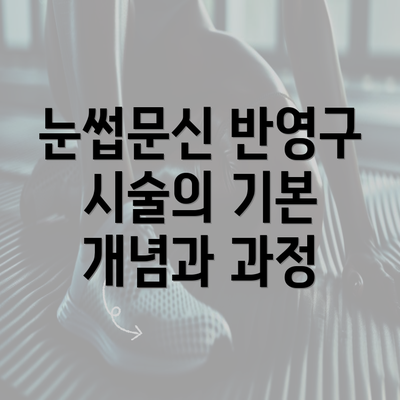 눈썹문신 반영구 시술의 기본 개념과 과정