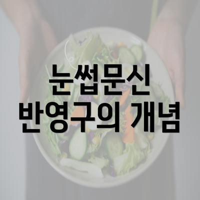 눈썹문신 반영구의 개념