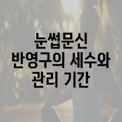 눈썹문신 반영구의 세수와 관리 기간