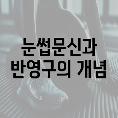 눈썹문신과 반영구의 개념