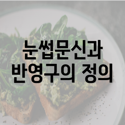 눈썹문신과 반영구의 정의