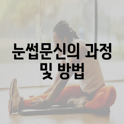 눈썹문신의 과정 및 방법