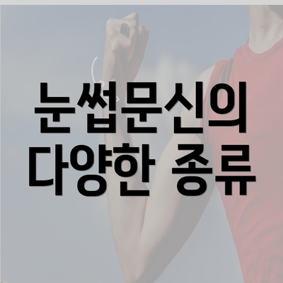 눈썹문신의 다양한 종류