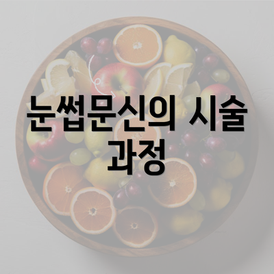 눈썹문신의 시술 과정