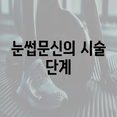 눈썹문신의 시술 단계