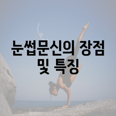 눈썹문신의 장점 및 특징