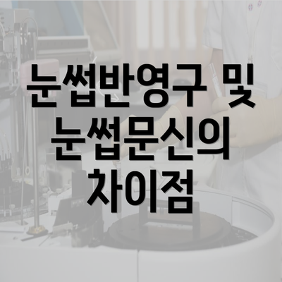 눈썹반영구 및 눈썹문신의 차이점