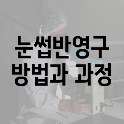 눈썹반영구 방법과 과정