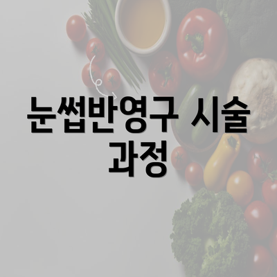 눈썹반영구 시술 과정