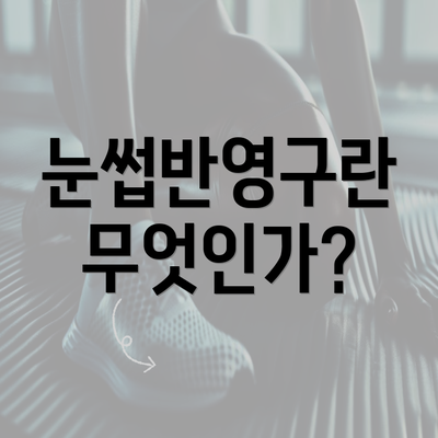 눈썹반영구란 무엇인가?