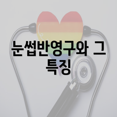 눈썹반영구와 그 특징