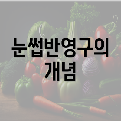 눈썹반영구의 개념