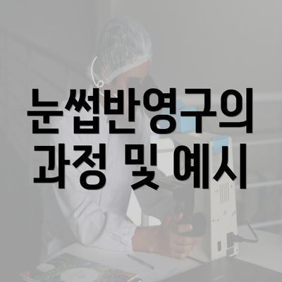 눈썹반영구의 과정 및 예시