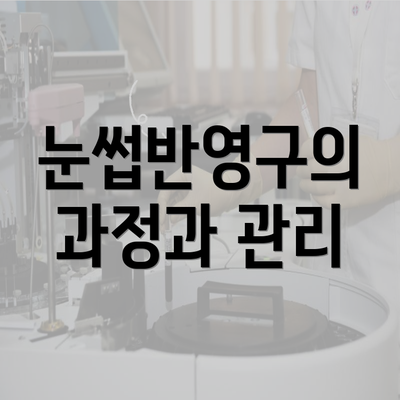 눈썹반영구의 과정과 관리