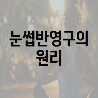 눈썹반영구의 원리