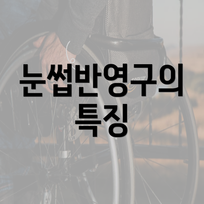 눈썹반영구의 특징