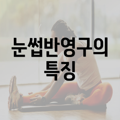 눈썹반영구의 특징