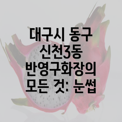 대구시 동구 신천3동 반영구화장의 모든 것: 눈썹