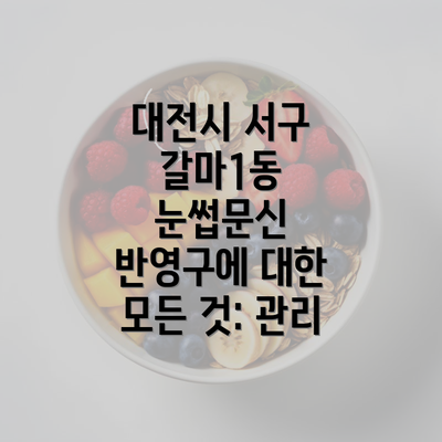 대전시 서구 갈마1동 눈썹문신 반영구에 대한 모든 것: 관리