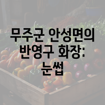 무주군 안성면의 반영구 화장: 눈썹