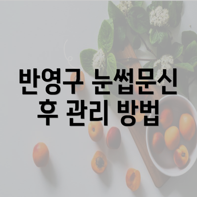 반영구 눈썹문신 후 관리 방법