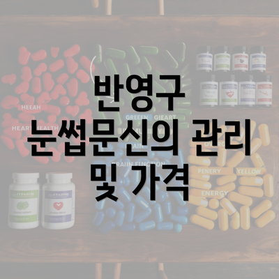 반영구 눈썹문신의 관리 및 가격