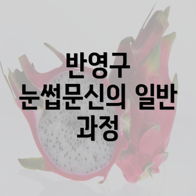 반영구 눈썹문신의 일반 과정