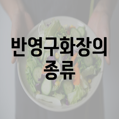 반영구화장의 종류