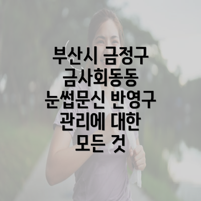 부산시 금정구 금사회동동 눈썹문신 반영구 관리에 대한 모든 것