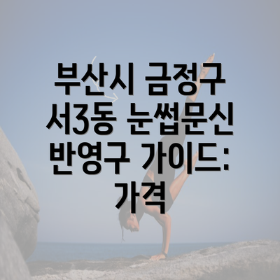 부산시 금정구 서3동 눈썹문신 반영구 가이드: 가격