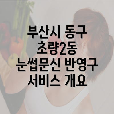 부산시 동구 초량2동 눈썹문신 반영구 서비스 개요