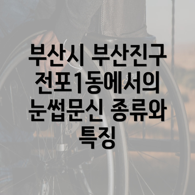 부산시 부산진구 전포1동에서의 눈썹문신 종류와 특징