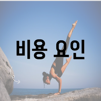 비용 요인