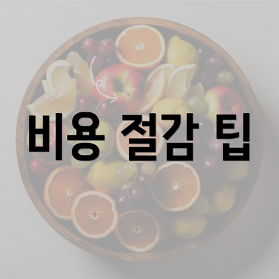 비용 절감 팁