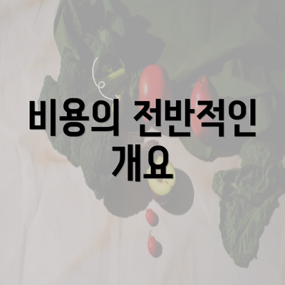 비용의 전반적인 개요