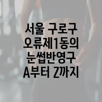 서울 구로구 오류제1동의 눈썹반영구 A부터 Z까지