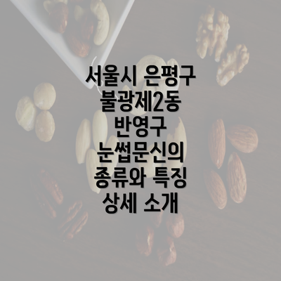 서울시 은평구 불광제2동 반영구 눈썹문신의 종류와 특징 상세 소개