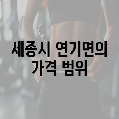 세종시 연기면의 가격 범위