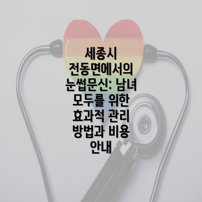 세종시 전동면에서의 눈썹문신: 남녀 모두를 위한 효과적 관리 방법과 비용 안내