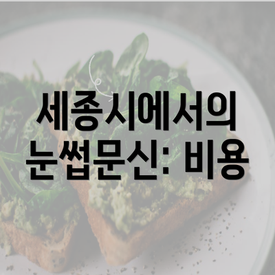 세종시에서의 눈썹문신: 비용