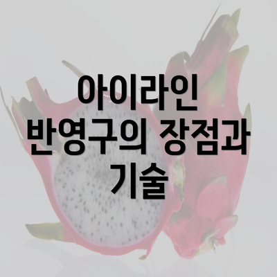 아이라인 반영구의 장점과 기술