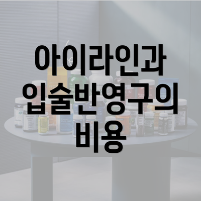 아이라인과 입술반영구의 비용