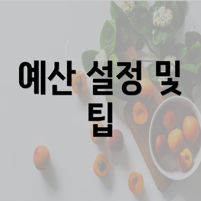 예산 설정 및 팁