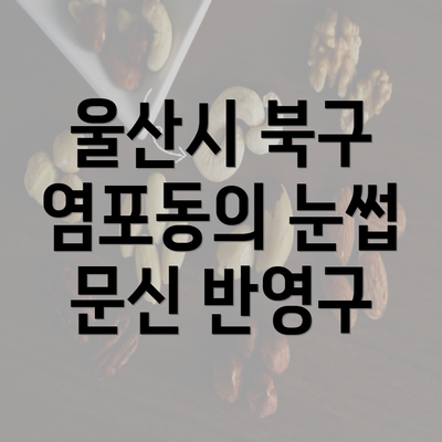 울산시 북구 염포동의 눈썹 문신 반영구