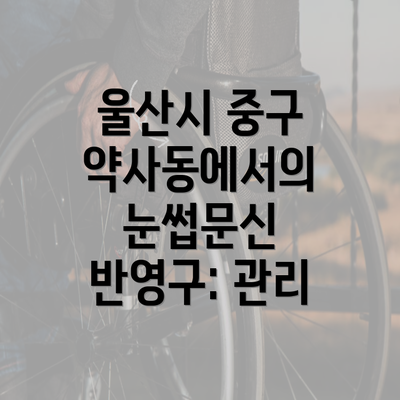 울산시 중구 약사동에서의 눈썹문신 반영구: 관리