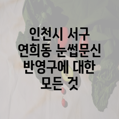 인천시 서구 연희동 눈썹문신 반영구에 대한 모든 것