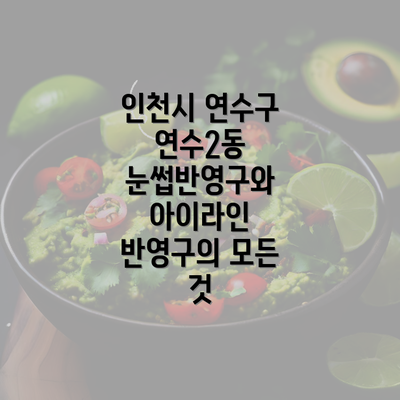 인천시 연수구 연수2동 눈썹반영구와 아이라인 반영구의 모든 것